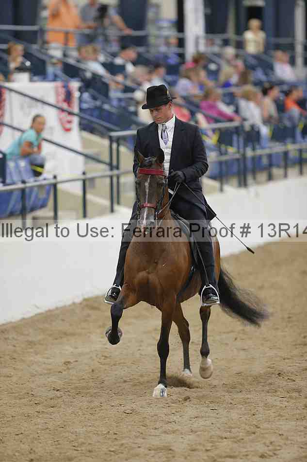Proof Number 13r14_5390