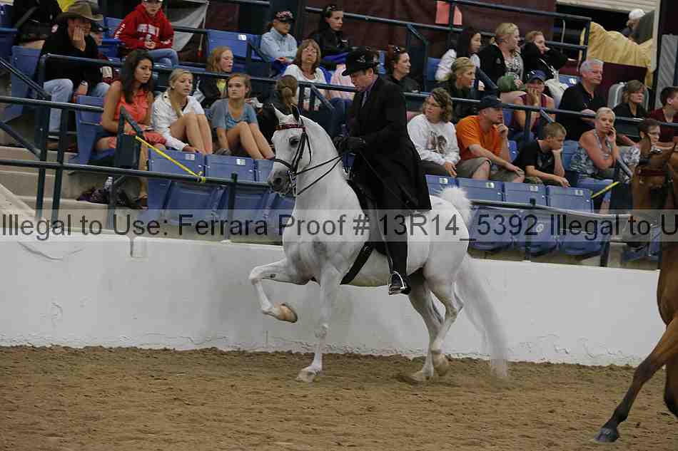 Proof Number 13r14_5392