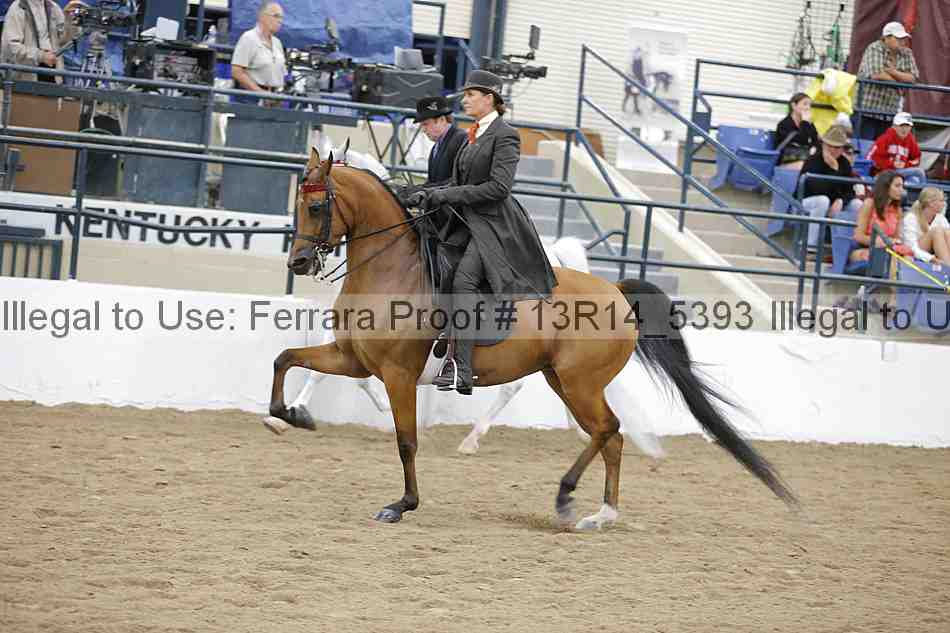 Proof Number 13r14_5393