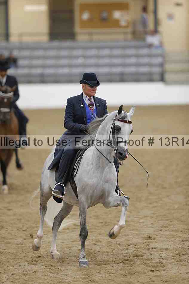 Proof Number 13r14_5395