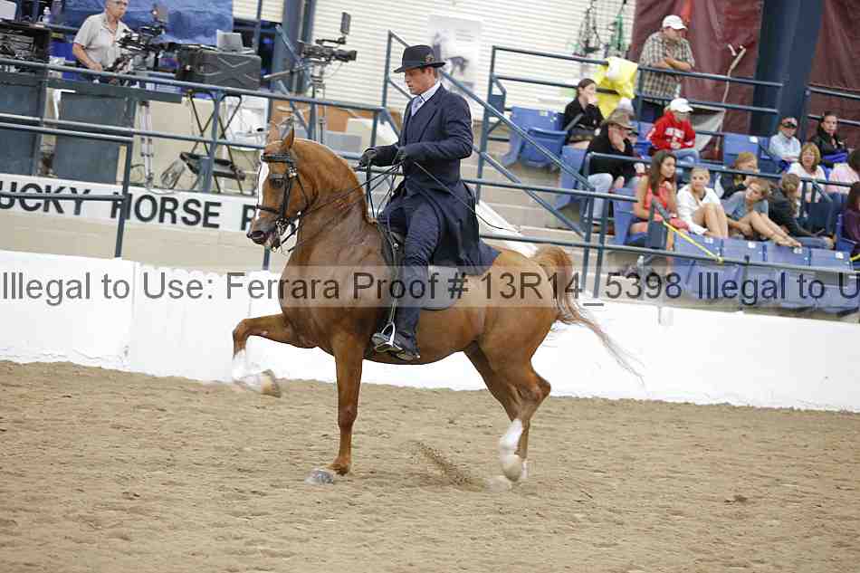 Proof Number 13r14_5398