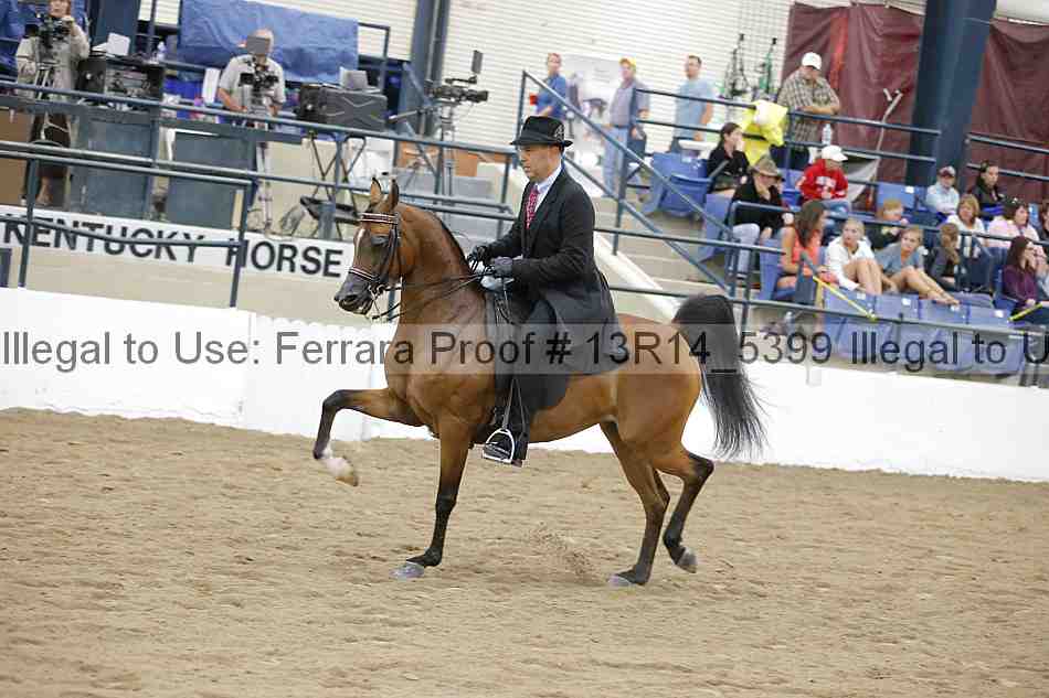 Proof Number 13r14_5399