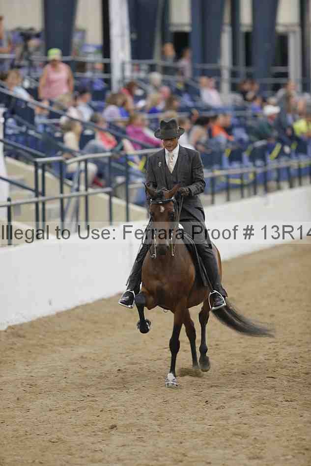 Proof Number 13r14_5400