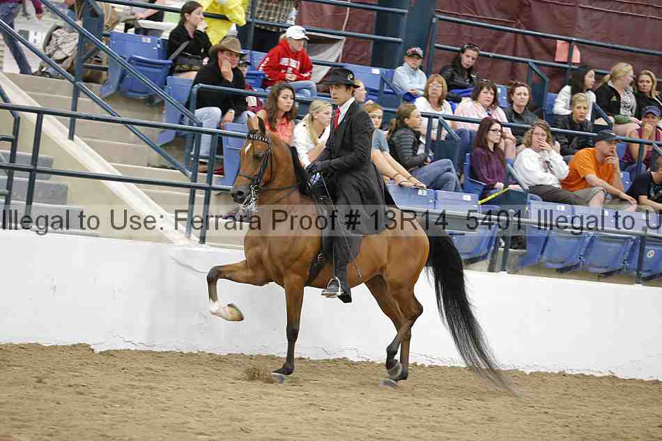 Proof Number 13r14_5401