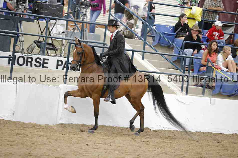 Proof Number 13r14_5403