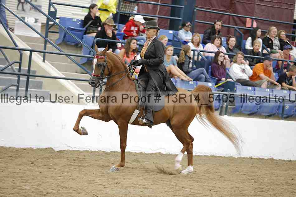 Proof Number 13r14_5405