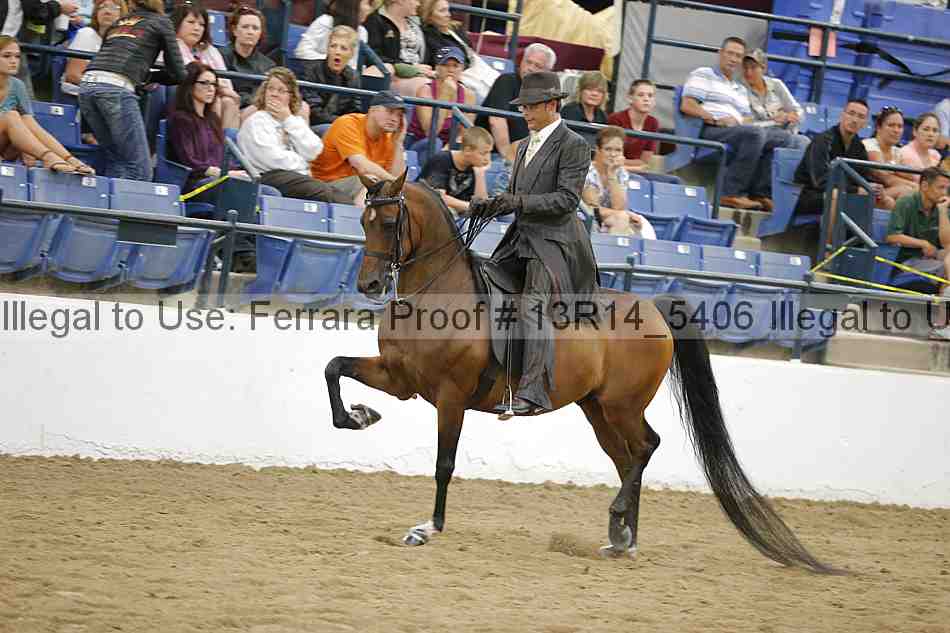 Proof Number 13r14_5406