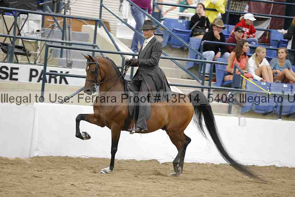 Proof Number 13r14_5408