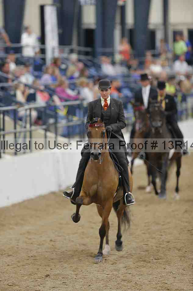 Proof Number 13r14_5410