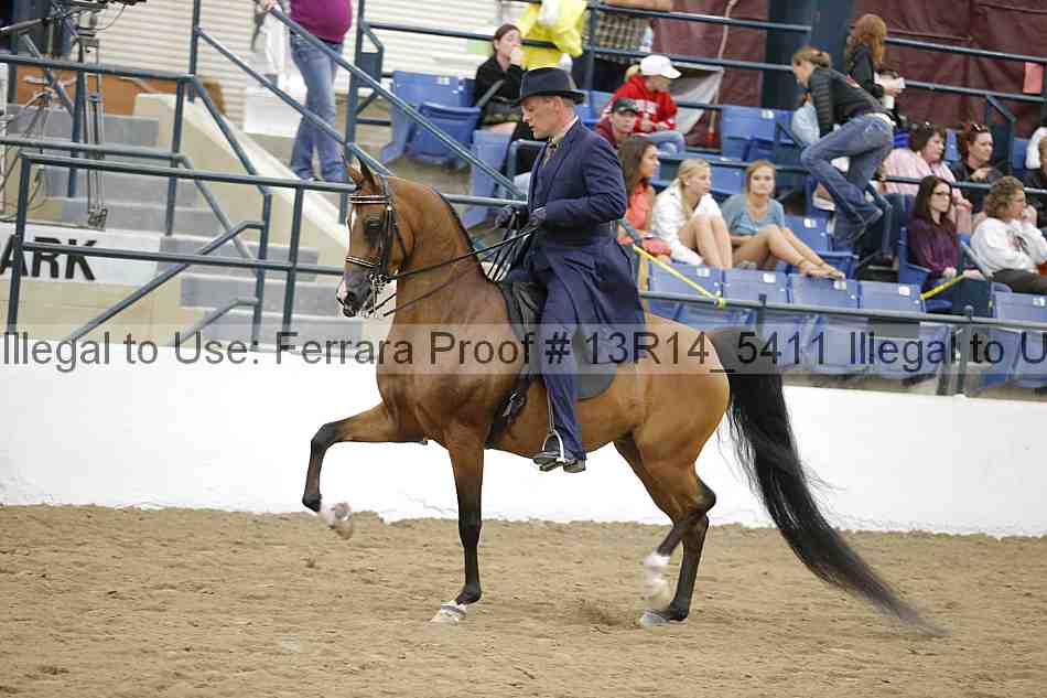 Proof Number 13r14_5411