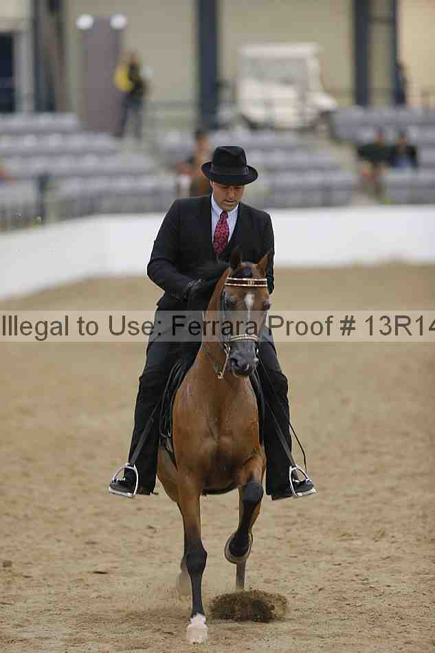 Proof Number 13r14_5415