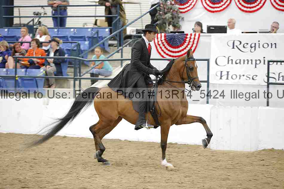 Proof Number 13r14_5424