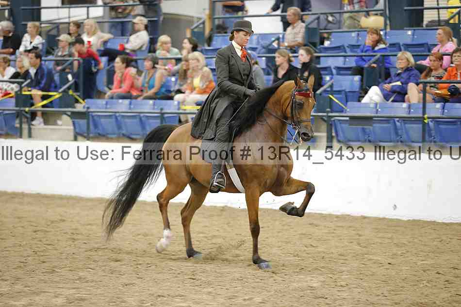 Proof Number 13r14_5433