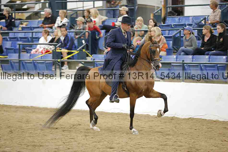 Proof Number 13r14_5434