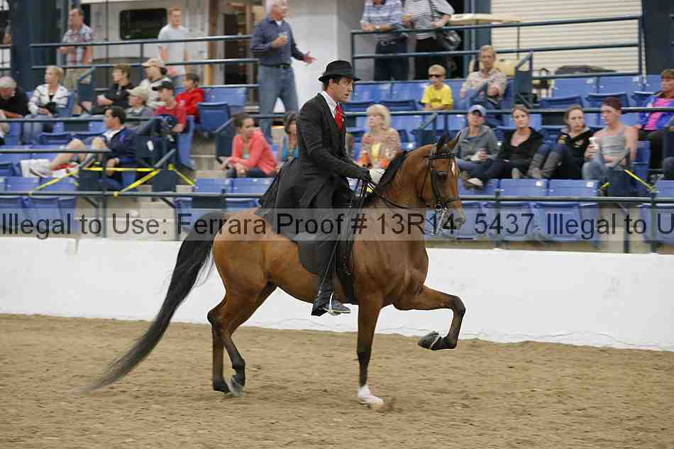 Proof Number 13r14_5437