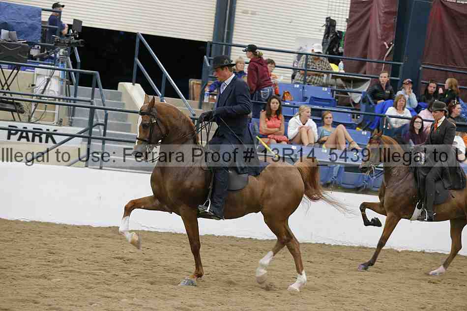 Proof Number 13r14_5439