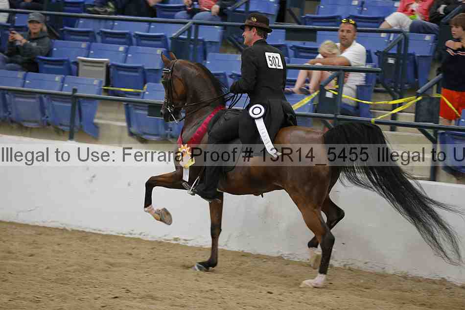 Proof Number 13r14_5455