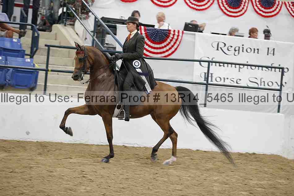 Proof Number 13r14_5465