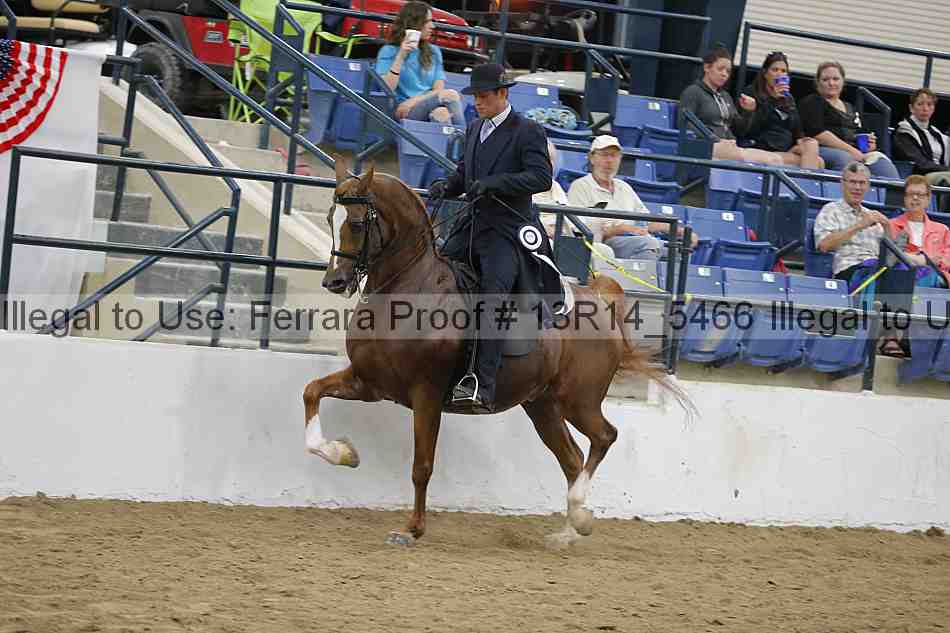 Proof Number 13r14_5466