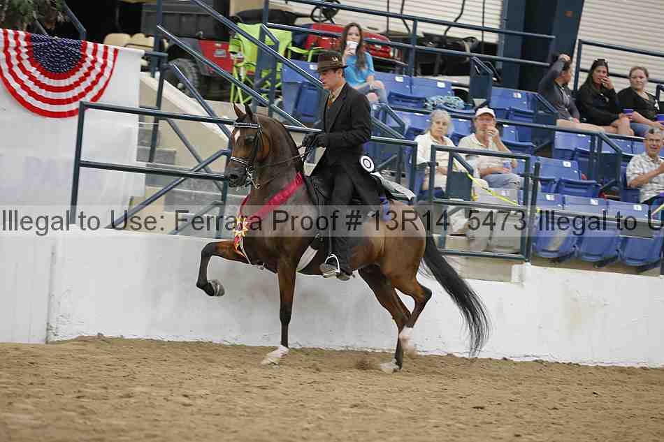 Proof Number 13r14_5473