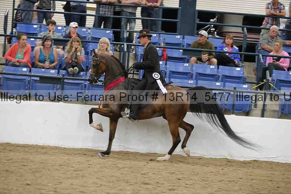 Proof Number 13r14_5477