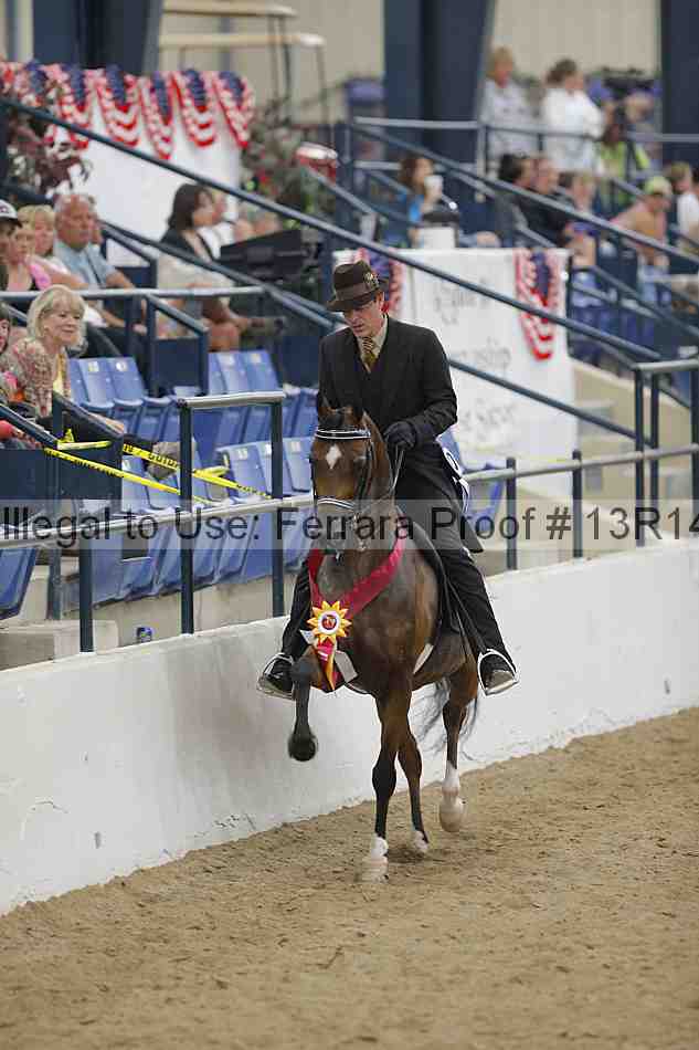 Proof Number 13r14_5478