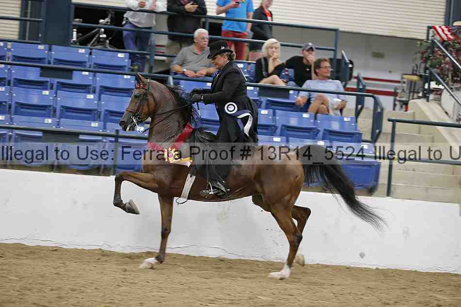 Proof Number 13r14_5524