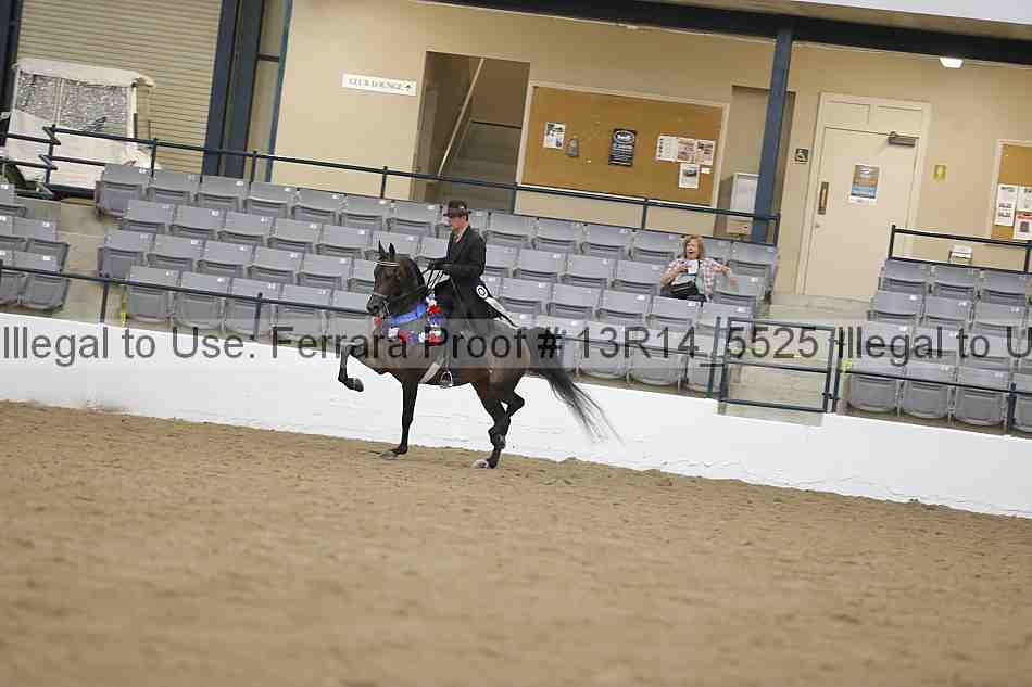 Proof Number 13r14_5525