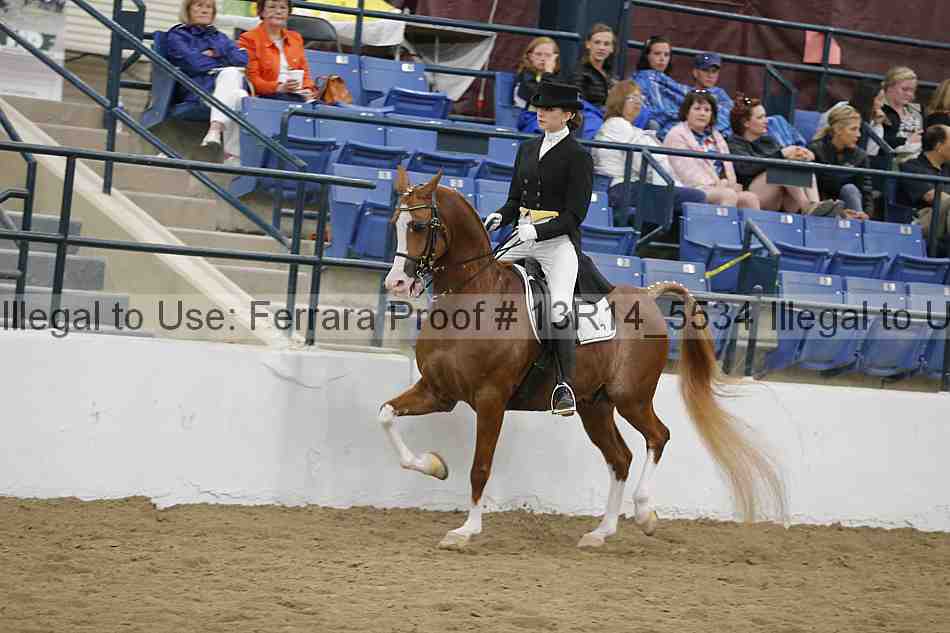 Proof Number 13r14_5534