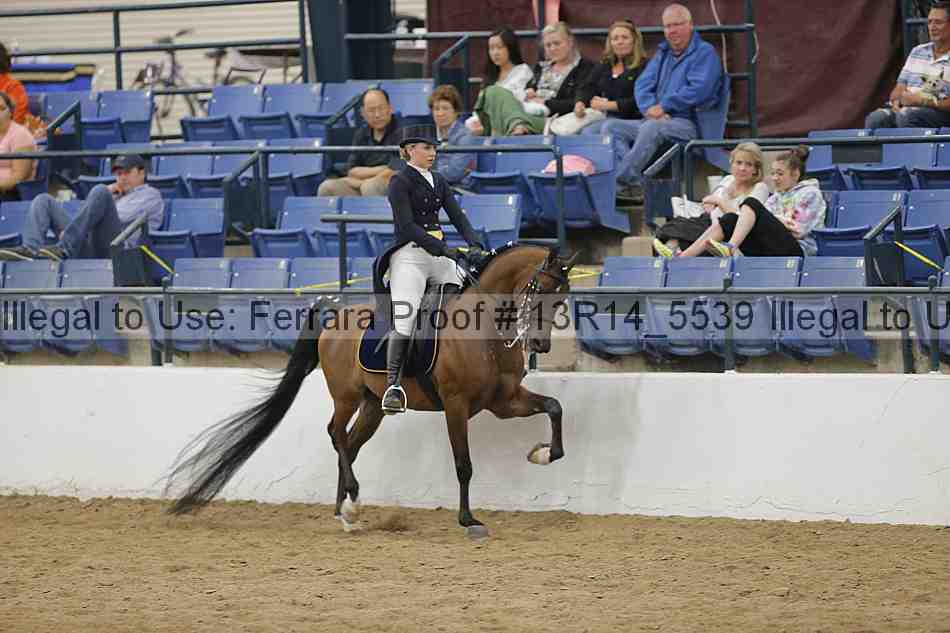 Proof Number 13r14_5539