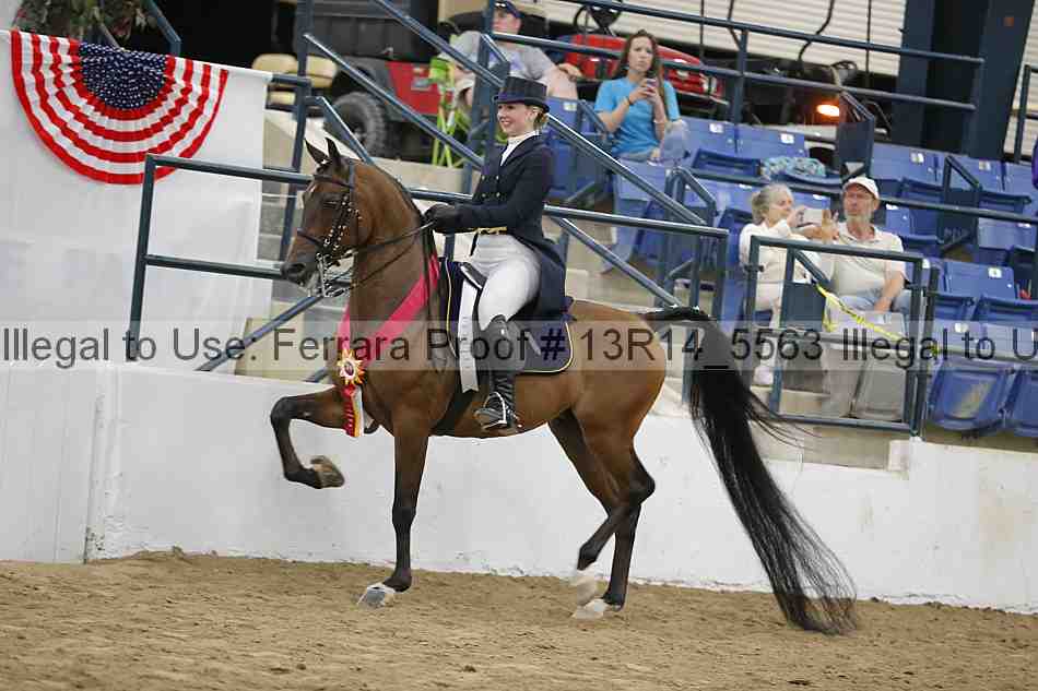 Proof Number 13r14_5563