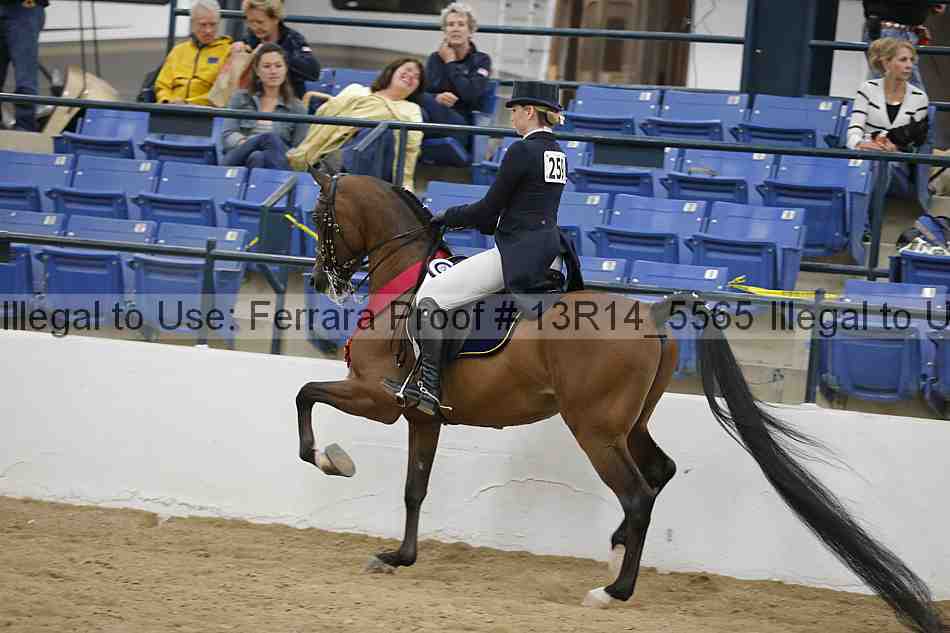 Proof Number 13r14_5565
