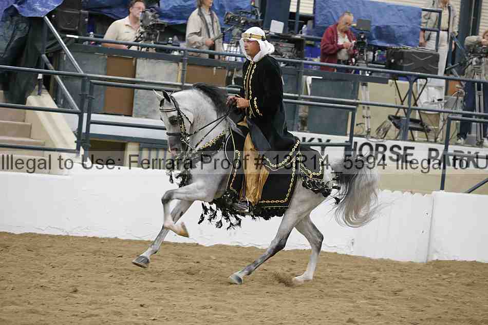 Proof Number 13r14_5594