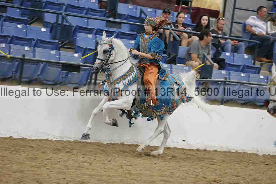 Proof Number 13r14_5600