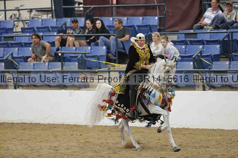 Proof Number 13r14_5616