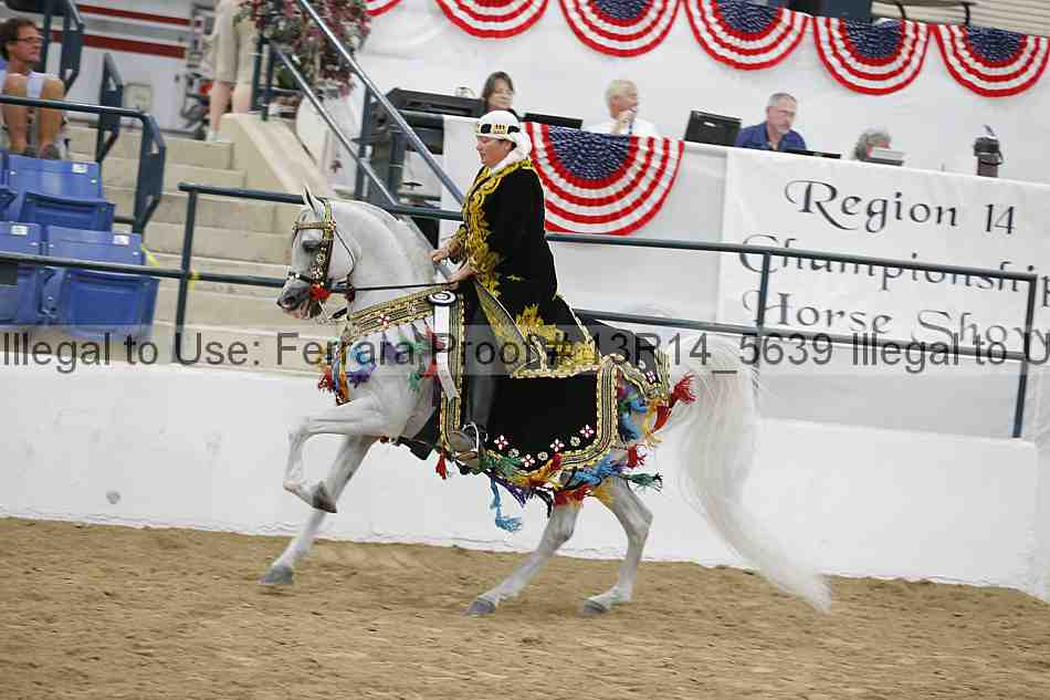 Proof Number 13r14_5639