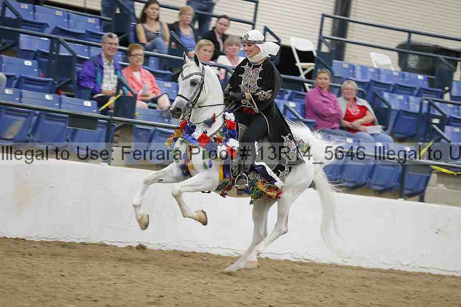 Proof Number 13r14_5646
