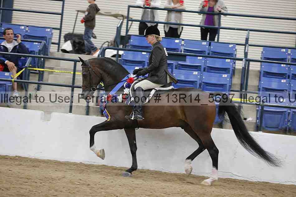 Proof Number 13r14_5697