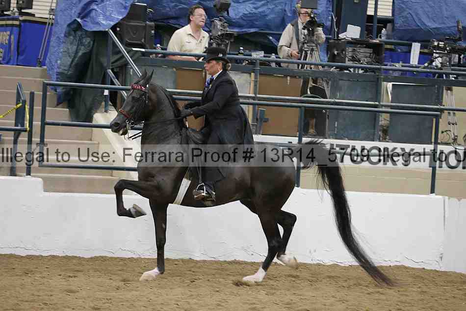 Proof Number 13r14_5709