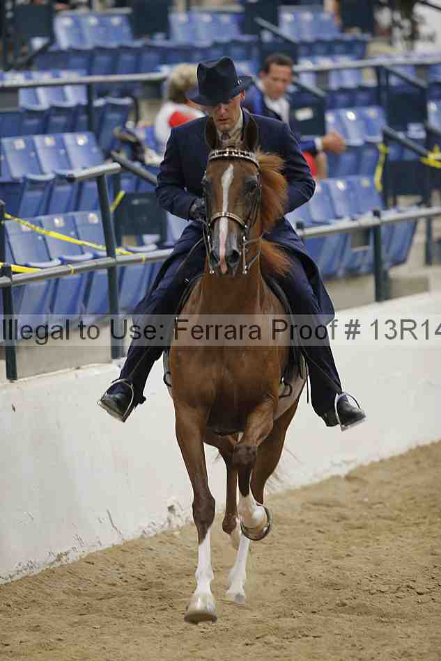Proof Number 13r14_5711
