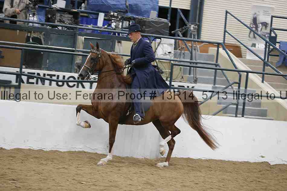 Proof Number 13r14_5713