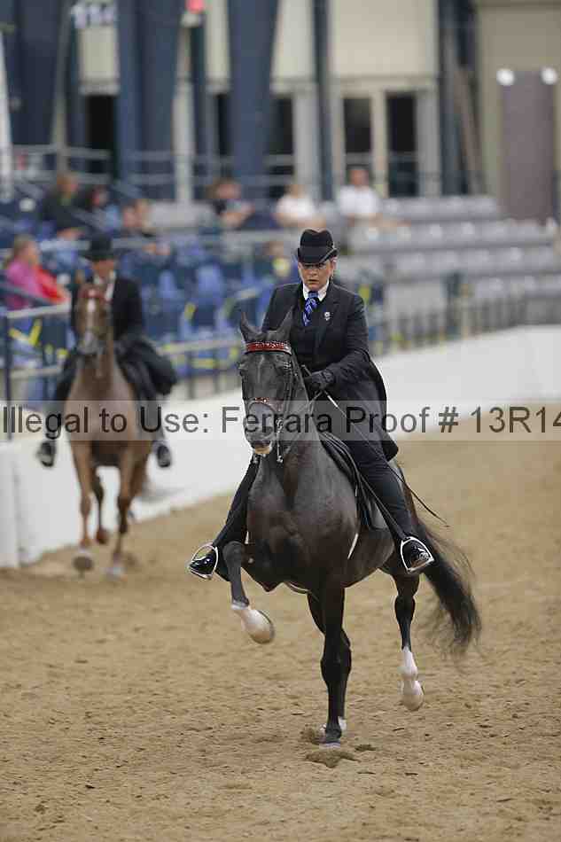 Proof Number 13r14_5714
