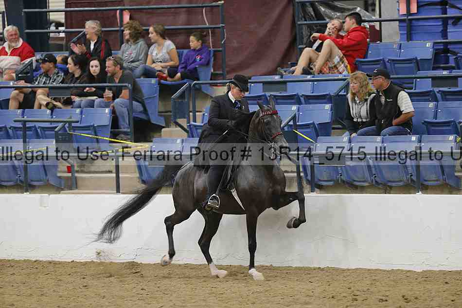 Proof Number 13r14_5715