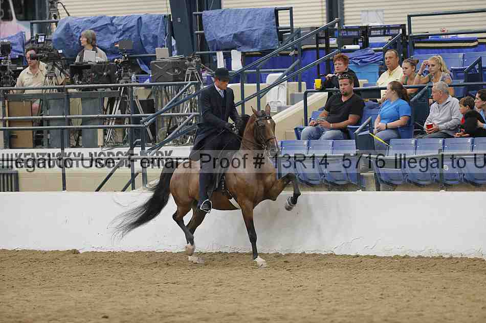 Proof Number 13r14_5716