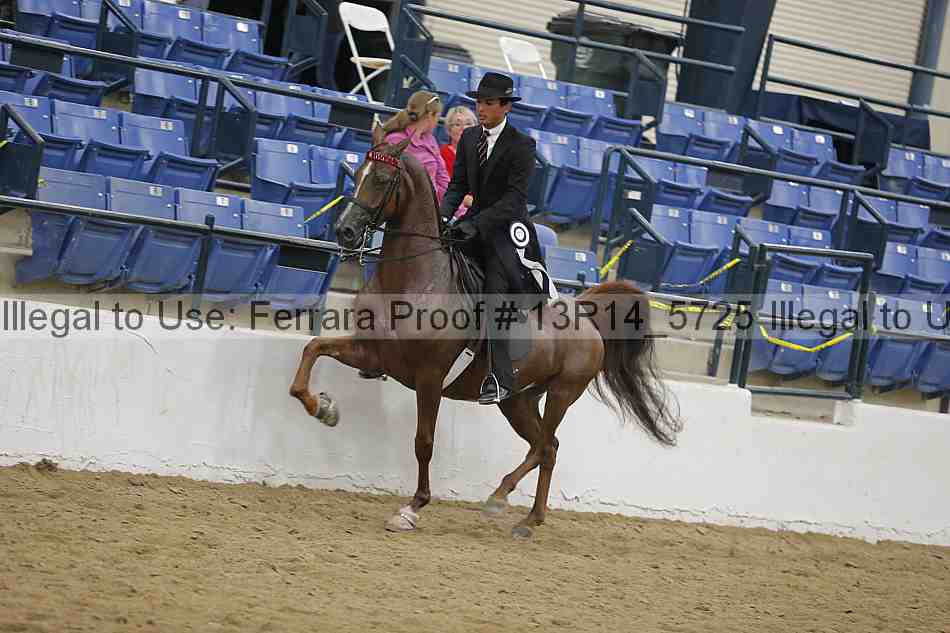 Proof Number 13r14_5725