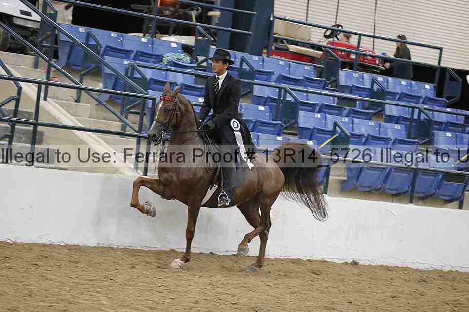 Proof Number 13r14_5726