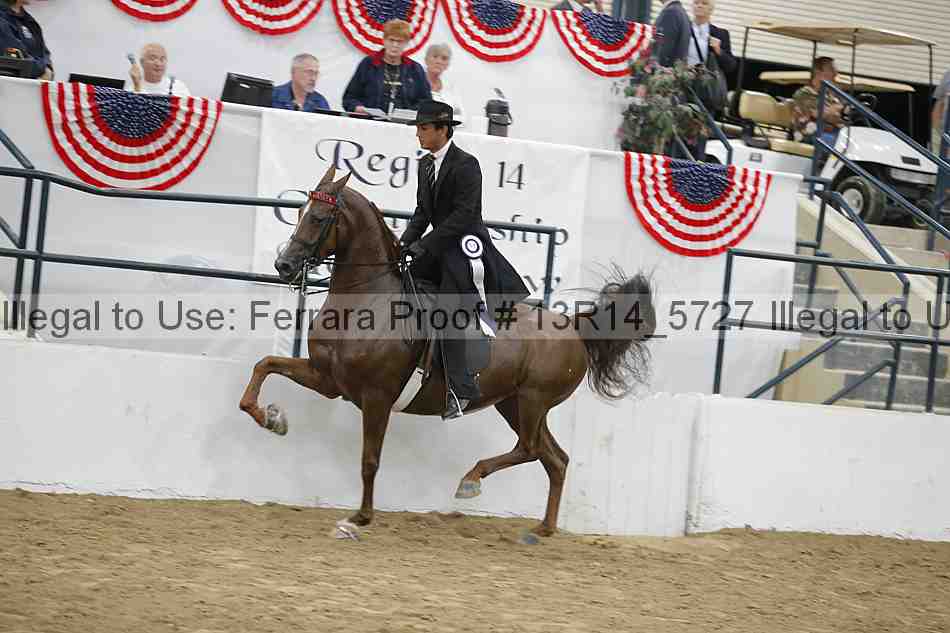 Proof Number 13r14_5727
