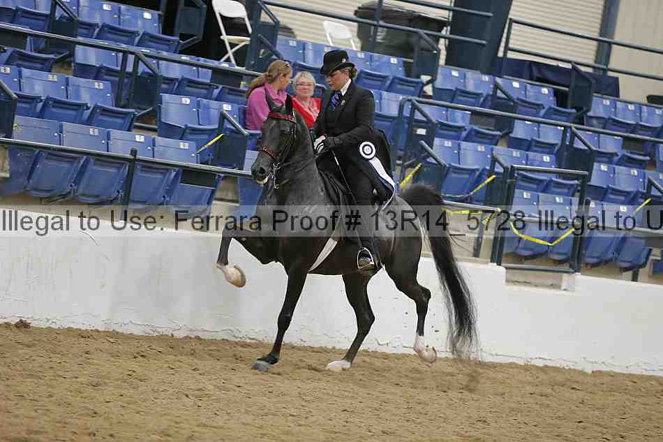 Proof Number 13r14_5728