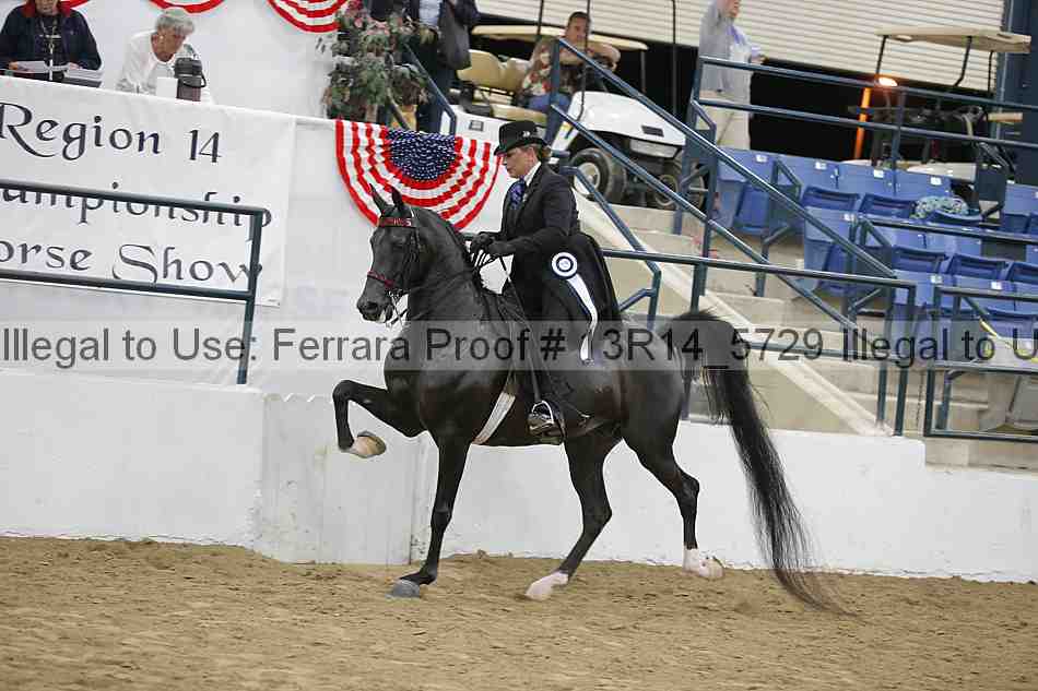 Proof Number 13r14_5729