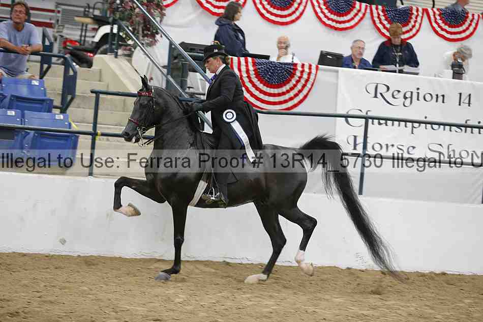 Proof Number 13r14_5730